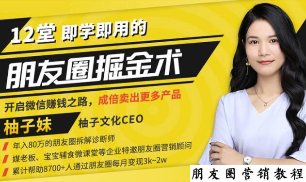 【营销必学】12堂学之即用的朋友圈掘金术:开启你的副业赚钱之路-第一资源库
