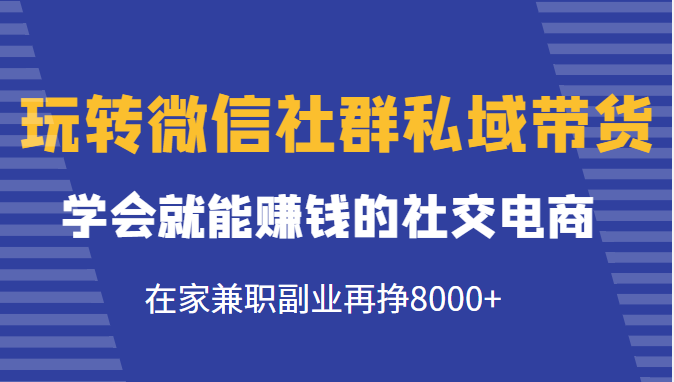 玩转微信社群私域带货,学会就能赚钱的社交电商,在家兼职副业再挣8000+-第一资源库