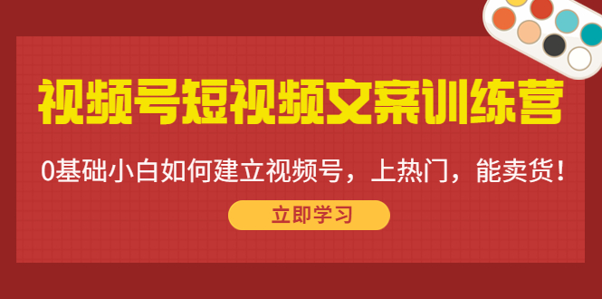 视频号短视频文案训练营:0基础小白如何建立视频号,上热门,能卖货!-第一资源库