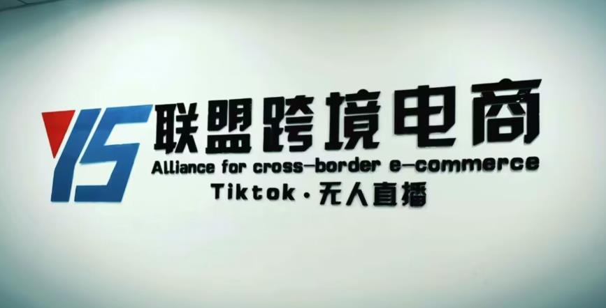 YS联盟·Tiktok无人直播,不出镜不剪辑不拍摄不发货无售后的跨境短视频躺赚玩法-第一资源库
