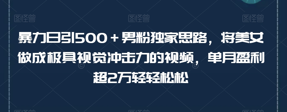 暴力日引500+男粉独家思路,将美女做成极具视觉冲击力的视频,单月盈利超2万轻轻松松-第一资源库