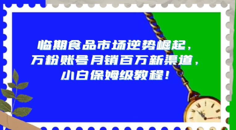 临期食品市场逆势崛起,万粉账号月销百万新渠道,小白保姆级教程【揭秘】-第一资源库