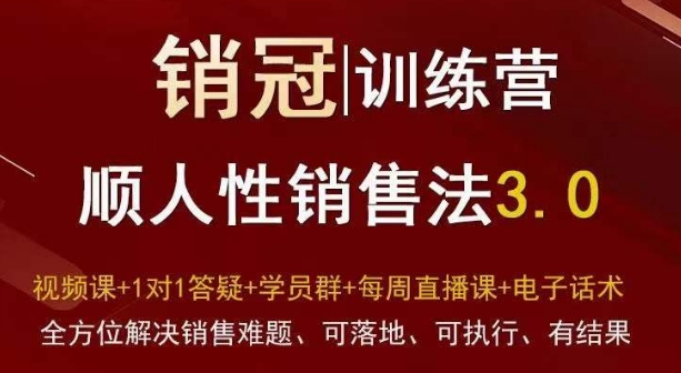 爆款!销冠训练营3.0之顺人性销售法,全方位解决销售难题、可落地、可执行、有结果-第一资源库