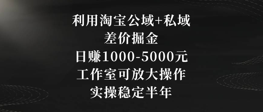 利用淘宝公域+私域差价掘金,日赚1000-5000元,工作室可放大操作,实操稳定半年【揭秘】-第一资源库