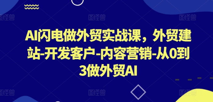 AI闪电做外贸实战课,外贸建站-开发客户-内容营销-从0到3做外贸AI-第一资源库