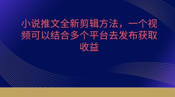 小说推文全新剪辑方法,一个视频可以结合多个平台去发布获取【揭秘】-第一资源库