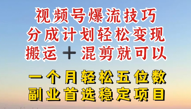 视频号爆流技巧,分成计划轻松变现,搬运 +混剪就可以,一个月轻松五位数稳定项目【揭秘】-第一资源库