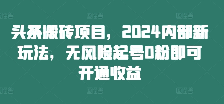 头条搬砖项目,2024内部新玩法,无风险起号0粉即可开通收益-第一资源库