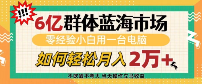 6亿群体蓝海市场，零经验小白用一台电脑，如何轻松月入过w【揭秘】-第一资源库
