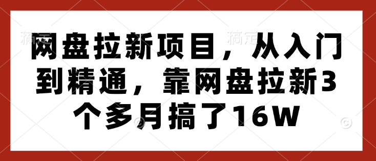网盘拉新项目,从入门到精通,靠网盘拉新3个多月搞了16W-第一资源库
