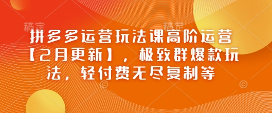 拼多多运营玩法课高阶运营【2月更新】,极致群爆款玩法,轻付费无尽复制等-第一资源库