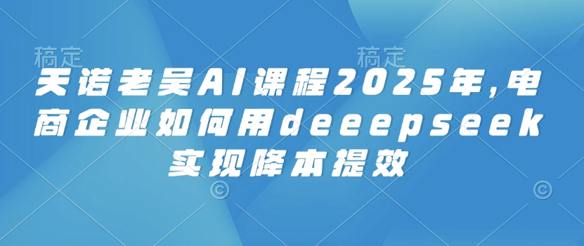 天诺老吴AI课程2025年,电商企业如何用deeepseek实现降本提效-第一资源库