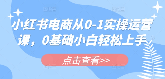 小红书电商从0-1实操运营课,0基础小白轻松上手-第一资源库