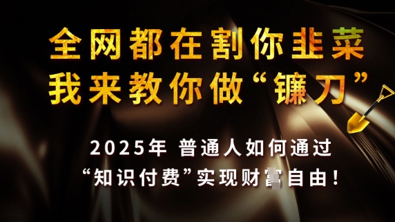 全网都在割你韭菜,我来教你做镰刀,2025普通人如何通过知识付费,实现财F自由【揭秘】-第一资源库