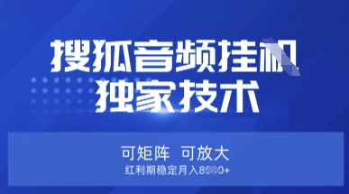 【搜狐音频挂G】独家技术,可矩阵可放大,红利期稳定月入8k【揭秘】-第一资源库