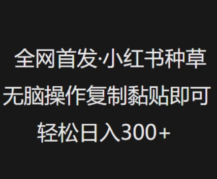 全网首发,小红书种草无脑操作,复制黏贴即可,轻松日入3张-第一资源库