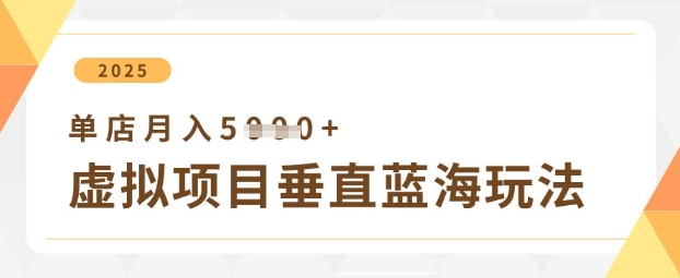 虚拟项目垂直玩法,实现单店月入5k+-第一资源库