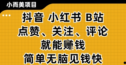 小而美的项目,抖音小红书B站视频点赞、关注、评论就能挣钱,简单无脑立见收益,妥妥的零撸项目【揭秘】-第一资源库