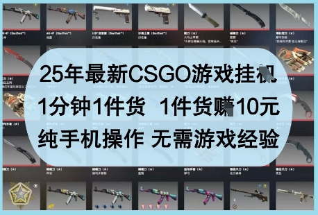 25年最新CSGO游戏挂G，1分钟1件货，1件货挣10元，纯手机操作，无需游戏经验【揭秘】-第一资源库