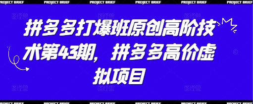 拼多多打爆班原创高阶技术第43期,拼多多高价虚拟项目-第一资源库