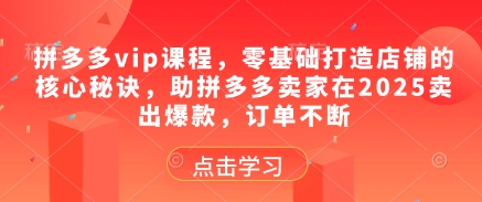 拼多多vip课程，零基础打造店铺的核心秘诀，助拼多多卖家在2025卖出爆款，订单不断-第一资源库