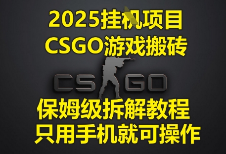 2025挂G项目,CSGO游戏搬砖,保姆级拆解教程,只用手机就可操作【揭秘】-第一资源库