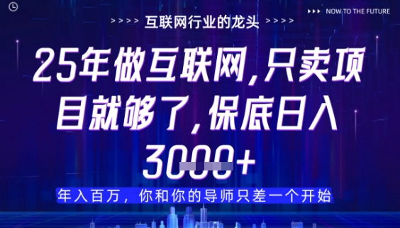 什么!25年你还在找项目做?风口早就变了,卖项目才是稳挣不赔【揭秘】-第一资源库