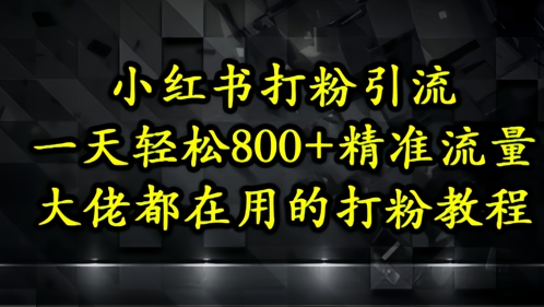 小红书打粉引流，一天轻松500+精准流量，大佬都在用的打粉教程-第一资源库