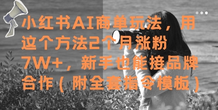 小红书AI商单玩法,用这个方法2个月涨粉7W+,新手也能接品牌合作(附全套指令模板)-第一资源库