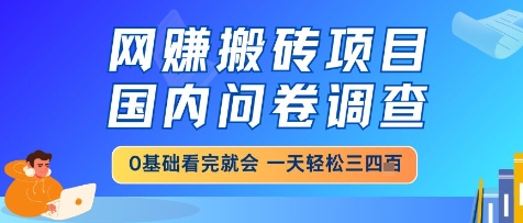 网创搬砖项目,国内问卷调查,小白轻松上手,一天三四张的也不难,干就完了【揭秘】-第一资源库