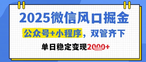 2025微信风口掘金,公众号+小程序双管齐下,单日稳定变现1k+【揭秘】-第一资源库