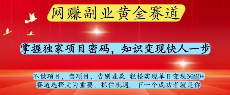 网创副业黄全赛道,掌握独家项目密码,知识变现快人一步,告别韭菜轻松实现单日变现1k+【揭秘】-第一资源库