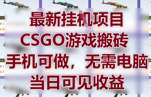 最新挂G项目，CSGO游戏搬砖，手机可做，无需电脑，当日见收益【揭秘】-第一资源库