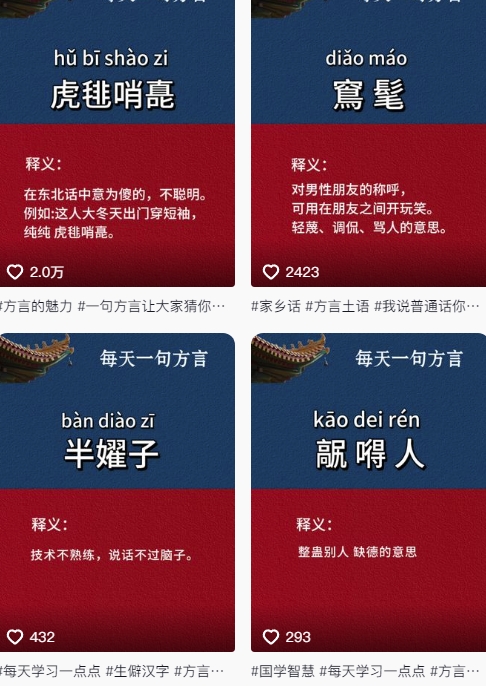 抖音最新涨粉玩法，图文方言暴力涨粉实操，126作品涨粉11W-第一资源库