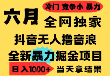 25年6月高爆抖音无人直播最新撸音浪掘金项目，小白可做，无脑日入1k+，门槛低可批量矩阵【揭秘】-第一资源库