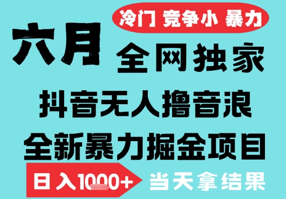 2025年6月高爆抖音无人直播最新撸音浪掘金项目,无脑日入1k+,低门槛小白可做,可矩阵放大【揭秘】-第一资源库