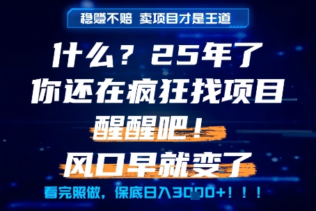 什么？25年你还在疯狂找项目做，醒醒吧，看完这些你全都懂了！【揭秘】-第一资源库
