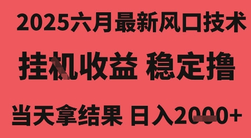 2025六月最新风口技术,无人挂G撸礼物,长期稳定 一个小时收益2k+,小白当天拿结果【揭秘】-第一资源库