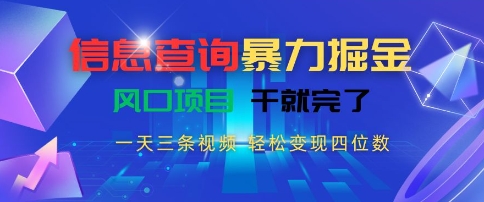 信息查询暴力掘金,一天三条视频,轻松变现四位数,风口项目干就完了【揭秘】-第一资源库