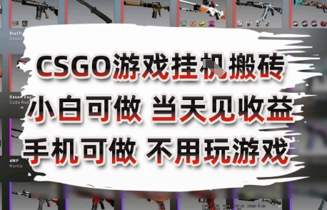 CSGO游戏挂G搬砖，小白纯手机即可操作，不用电脑打游戏，日入3张+，副业网创项目【揭秘】-第一资源库
