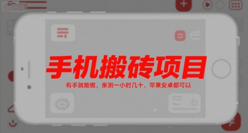 手机搬砖项目,有手就能做,亲测一小时几十,苹果安卓都可以-第一资源库