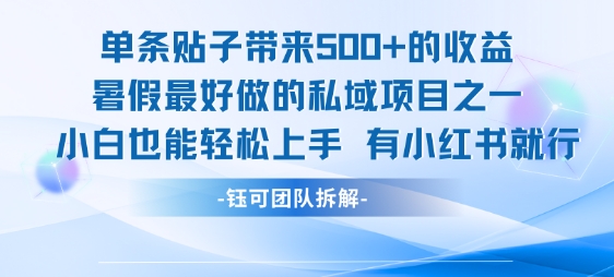 单条贴子带来5张的收益，暑假最好做的私域项目之一，小白也能轻松上手，有小红书就行-第一资源库