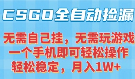CSGO自动捡漏项目，最新独家玩法，一个手机可操作，新手小白轻松月入1W+，操作简单易上手【揭秘】-第一资源库