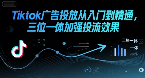 Tiktok广告投放从入门到精通,三位一体加强投流效果-第一资源库