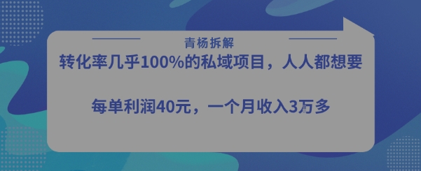 转化率最高的私域项目，每单利润40-50米，月入过1w-第一资源库