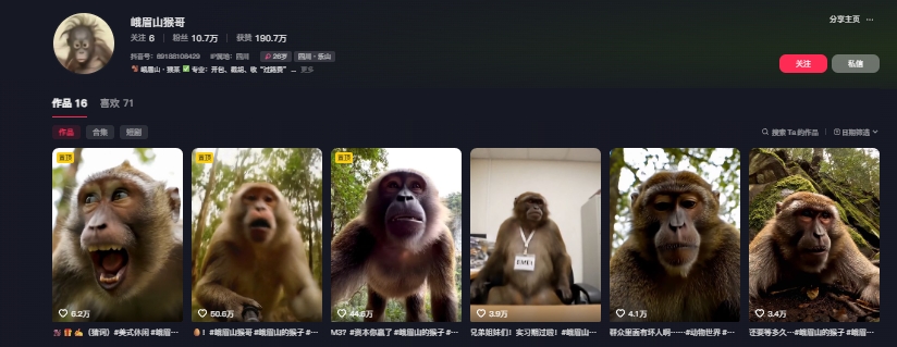 最新爆火的峨眉山猴子短视频制作教程,条条点赞10w+,谁做谁火【教程+提示词】-第一资源库
