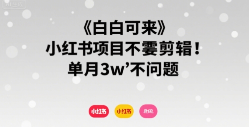 小白可来 小红书项目不需要剪辑 单月3w不是问题-第一资源库