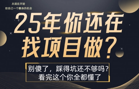 25年，你还在疯狂的找项目吗？别傻了，看完这个你都懂了【揭秘】-第一资源库