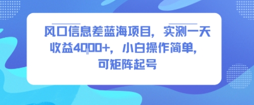 风口信息差蓝海项目，实测一天收益4k+，小白操作简单，可矩阵起号-第一资源库