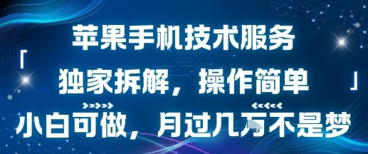 苹果手机技术服务,独家拆解,操作简单,小白可做,月过1W不是梦-第一资源库
